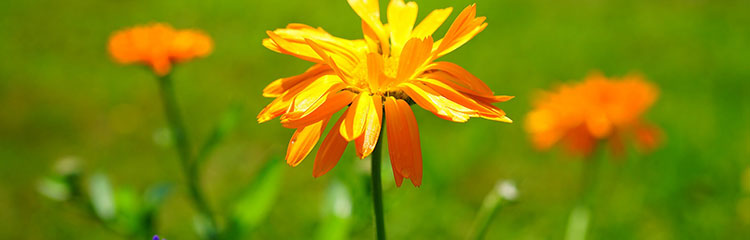 힐링이
필요해요