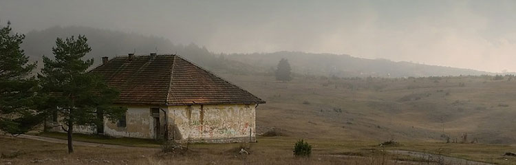 지혜가
필요해요