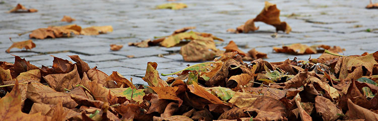 환절기 건강이
걱정돼요