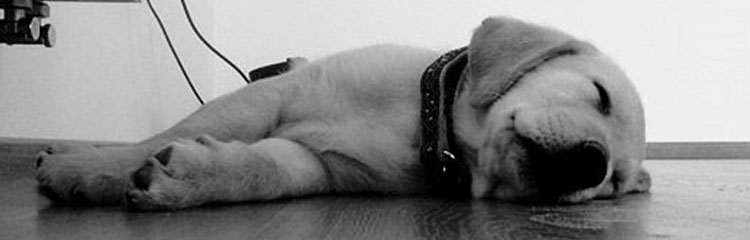 아침에 일어나기
힘들어요