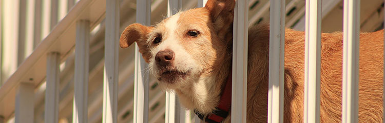 현실을
바꾸고 싶어요