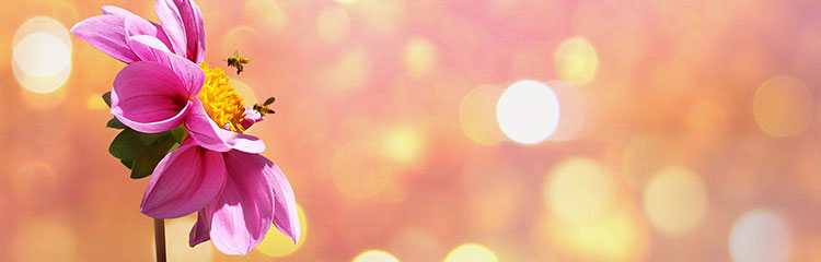 감성을 깨우고
싶어요