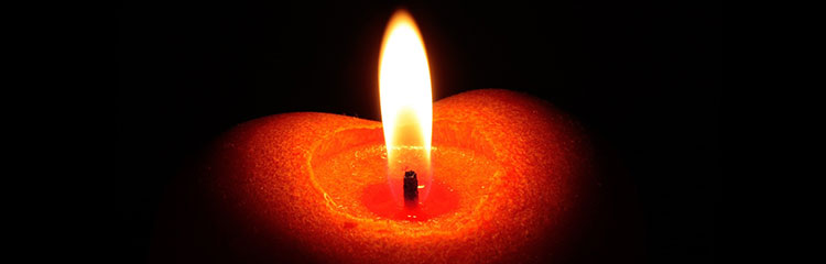 따뜻한 온기를
느끼고 싶어요