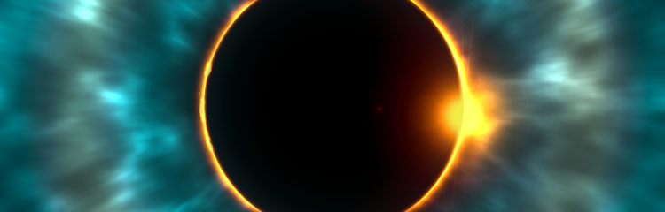 이것저것
호기심이 많아요