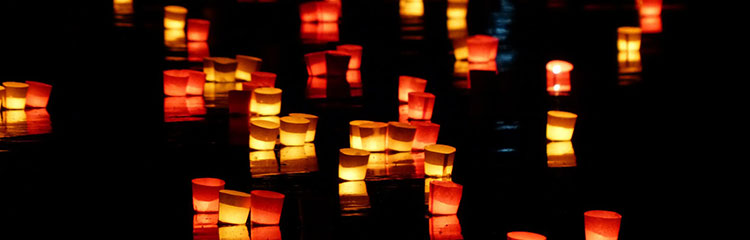 정치를 잘
알고 싶어요