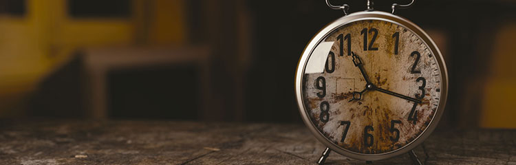 인문 상식을
키우고 싶어요