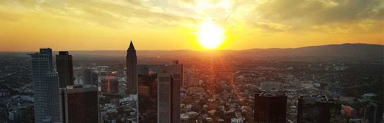 미래 인사이트를
얻고 싶어요