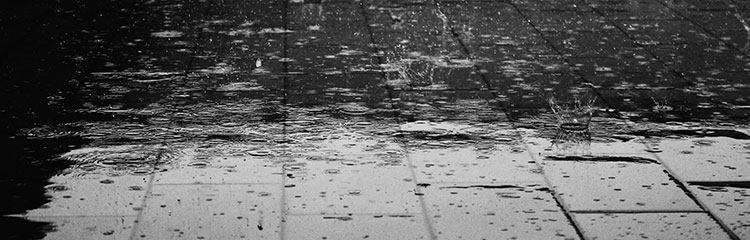 창 밖에
비가 와요