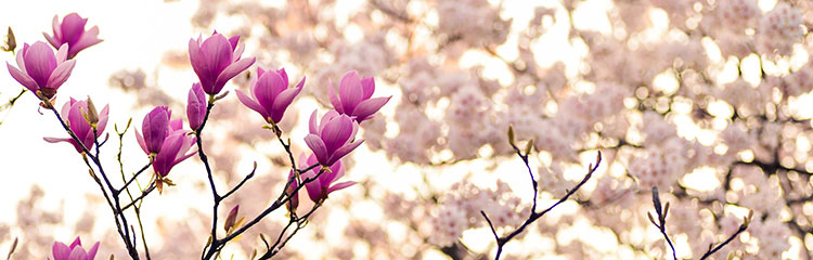 봄나들이
떠나요