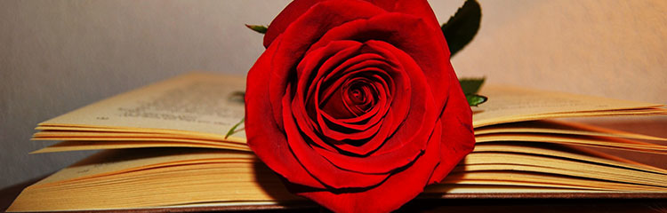 소중한 사람에게
선물하고 싶어요