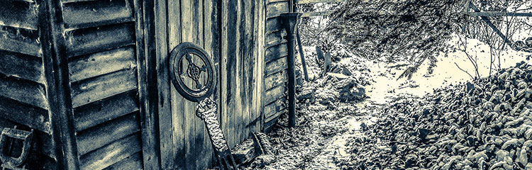 소름돋는 책을
읽고 싶어요