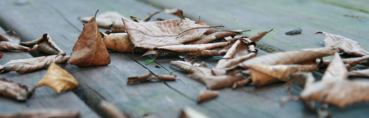 왠지 마음이
쓸쓸해요