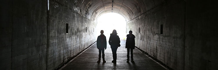 두뇌싸움을
보고 싶어요