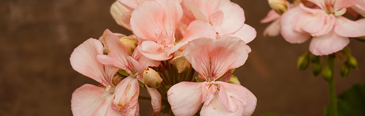 따뜻한 감성이
필요해요