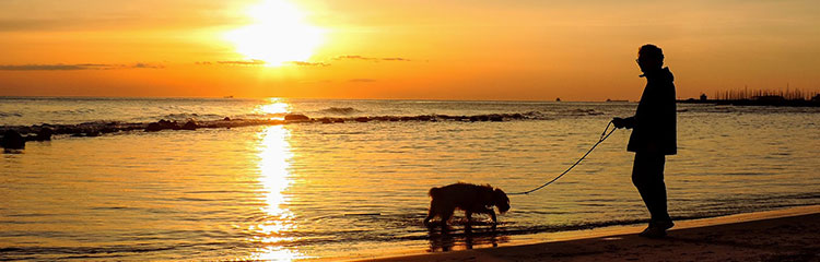 벌써 한해가
끝나가요