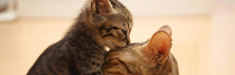 훈훈해지고
싶어요