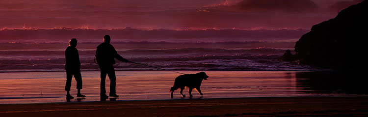 새로운 인생을
살아보자