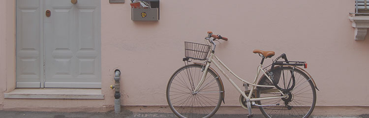 연휴에
뭐 읽지?