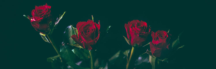 다른 사람들은
어떻게 사랑할까