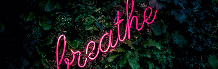 페미니즘을
알고 싶어요