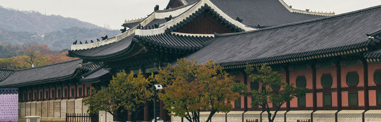 옛 글을
읽고 싶어요