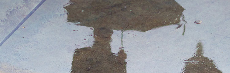 회사 가기
싫어요