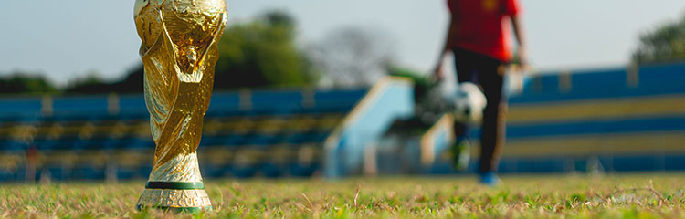 월드컵을 더
재미있게