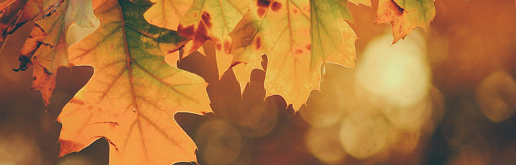 가을을
타고 있어요