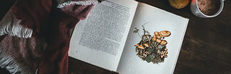 겨울밤이 
너무 길고 심심해요