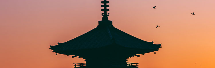 일본으로
떠나고 싶어요