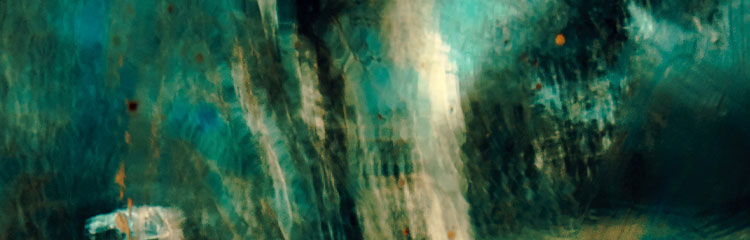 뇌과학이
궁금해요