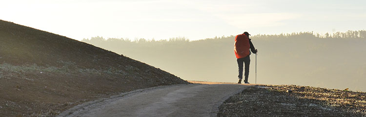 순례길을
걷고 싶어요