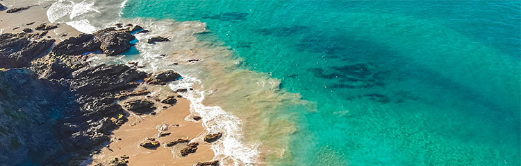 자연과 생명을
생각해요