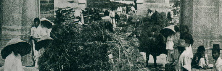 한일 역사를 
제대로 알고 싶어요