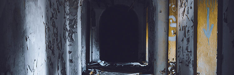 한여름 밤을 
오싹하게