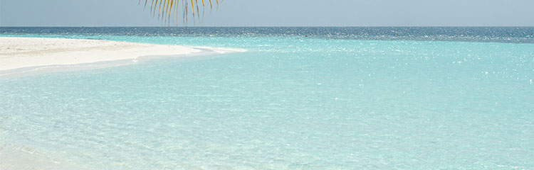 여름을 시원하게
보내고 싶어요