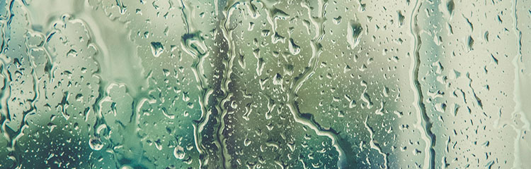 그 사람을
잊고 싶어요