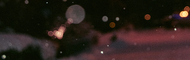 색다른 탐정을
만나고 싶어요