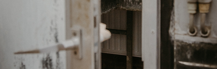 심리전을
즐기고 싶어요