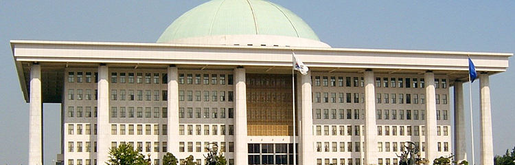 정치에 대해 
알고 싶어요