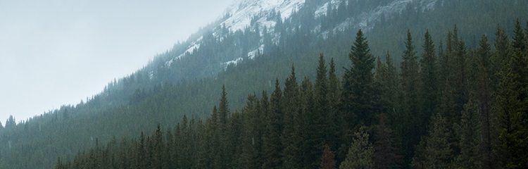 복지 정책이
궁금해요