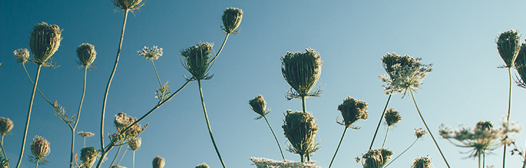 감동적인 순간을
느끼고 싶어요