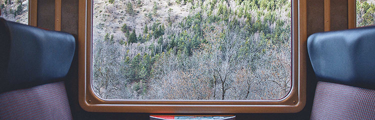 민주화운동이
궁금해요