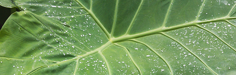 위로가
필요해요