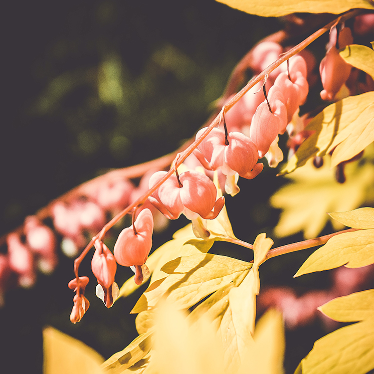 약에 대해
궁금해요