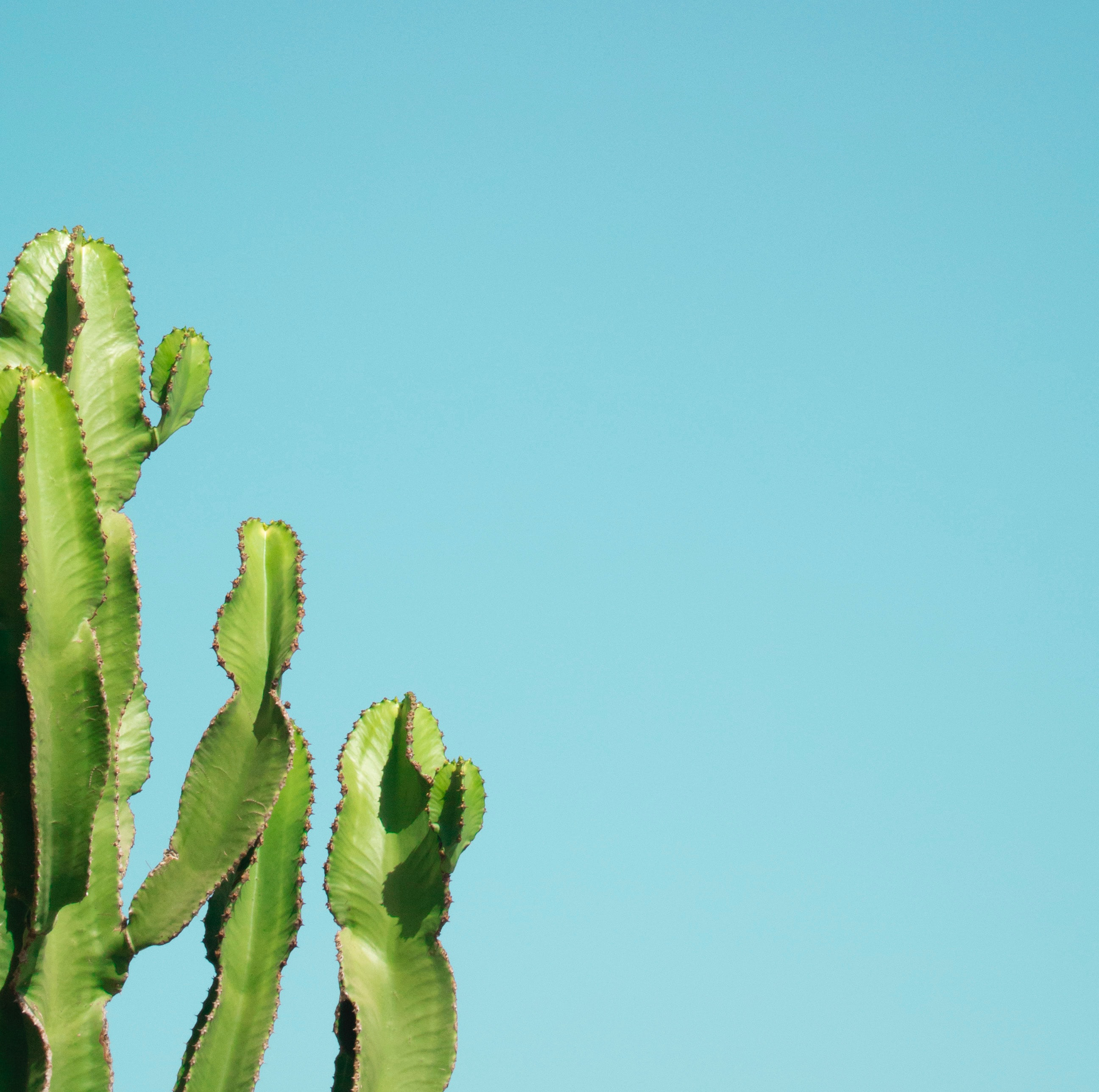 성격이
예민해요