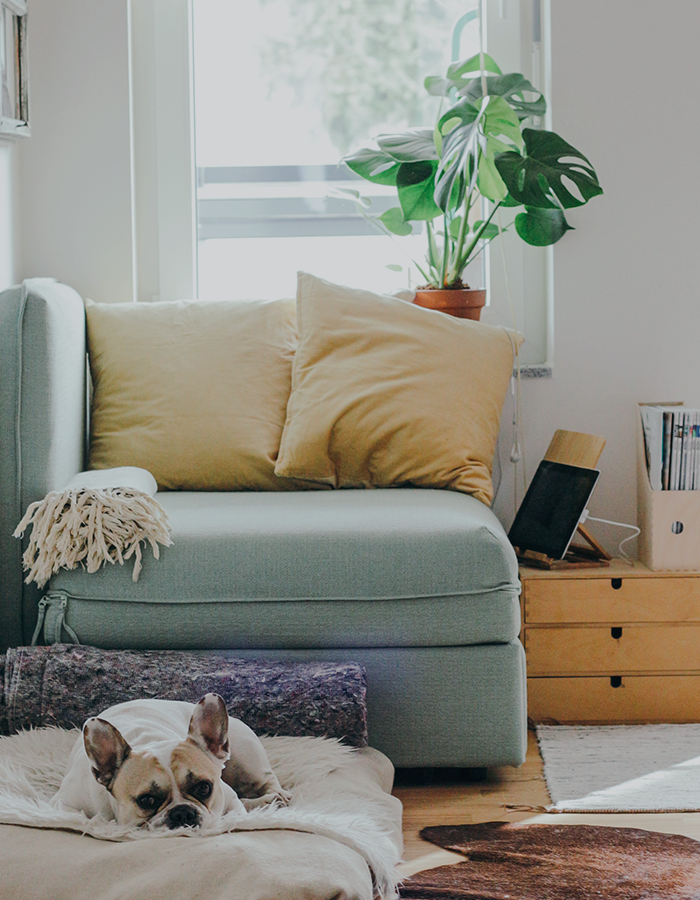 집의 의미를
다시 되새겨요