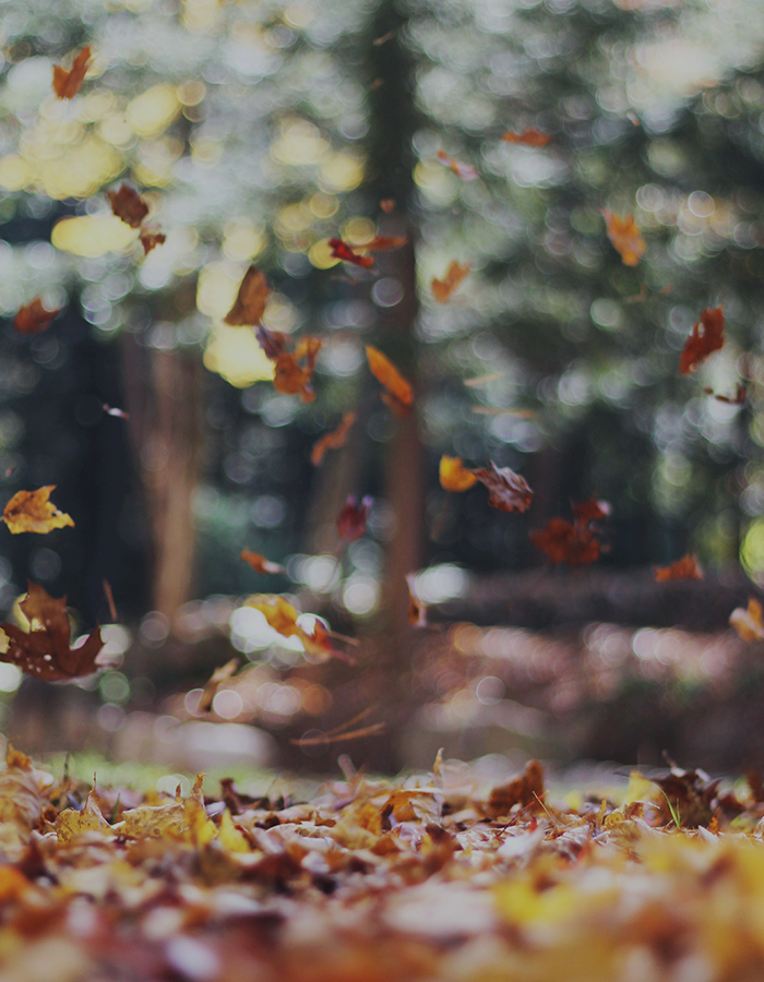 이번 가을엔
책을 더 읽고 싶어요