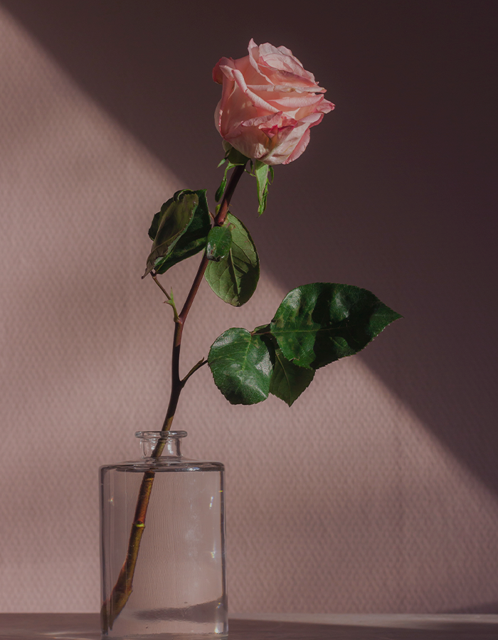 사랑의 낭만,
현실을 알고 싶어요