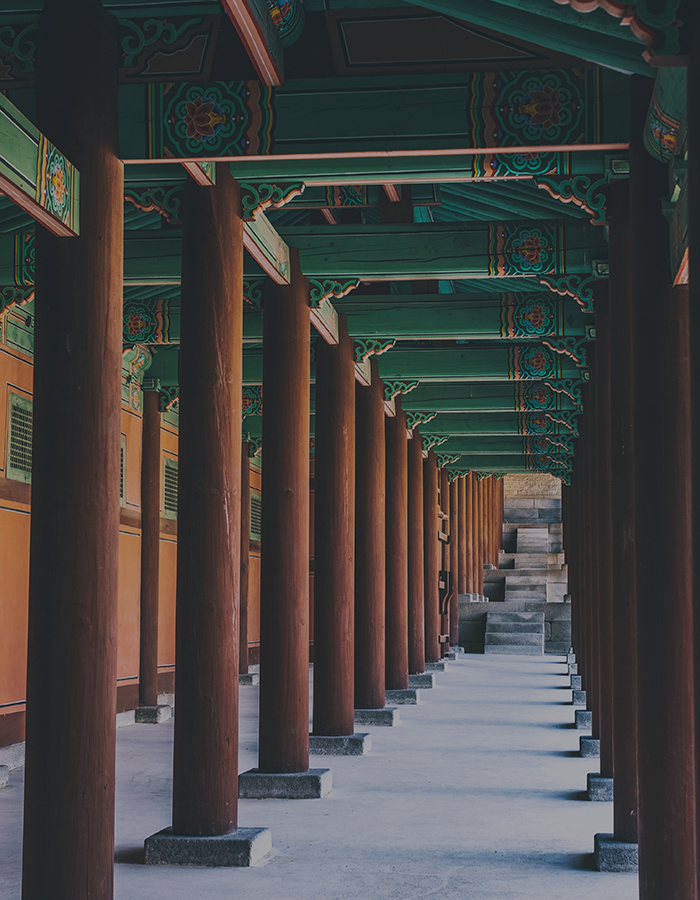 역사적 통찰력을
키우고 싶어요